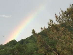 Rainbow through the window